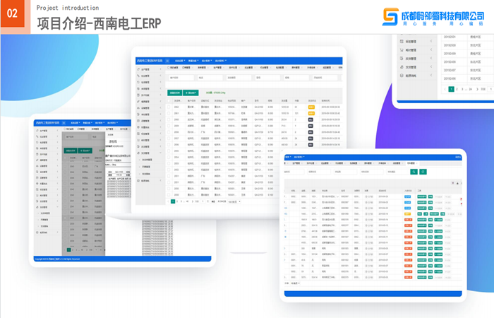西南电工-ERP系统